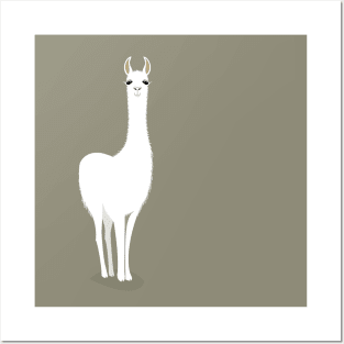 STANDING LLAMA #8 Posters and Art